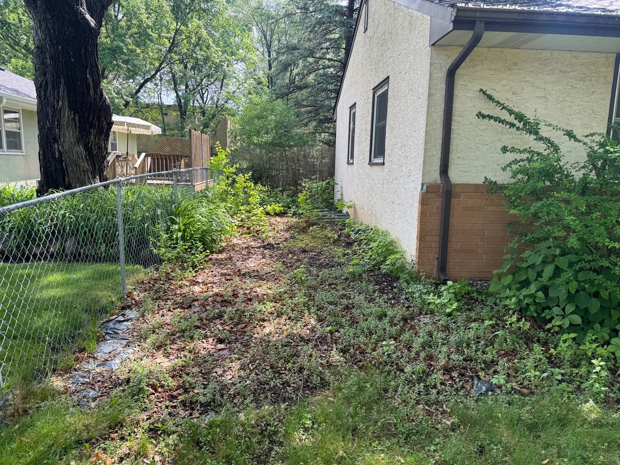 Side yard clearing before